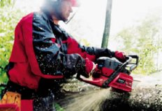 FOTOS (220) � IMAGEN FOTOGRAFIA